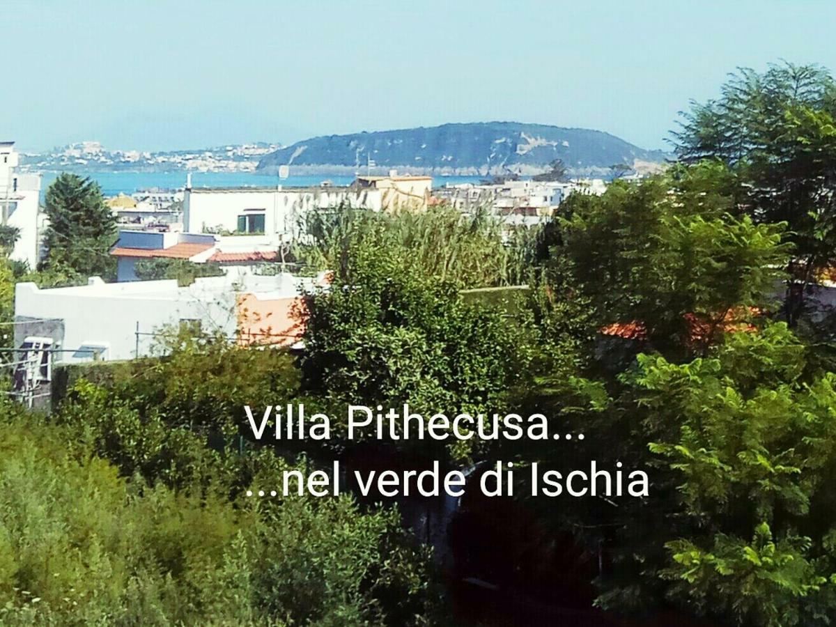 Villa Pithecusa Ischia Extérieur photo